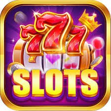 6655bet7